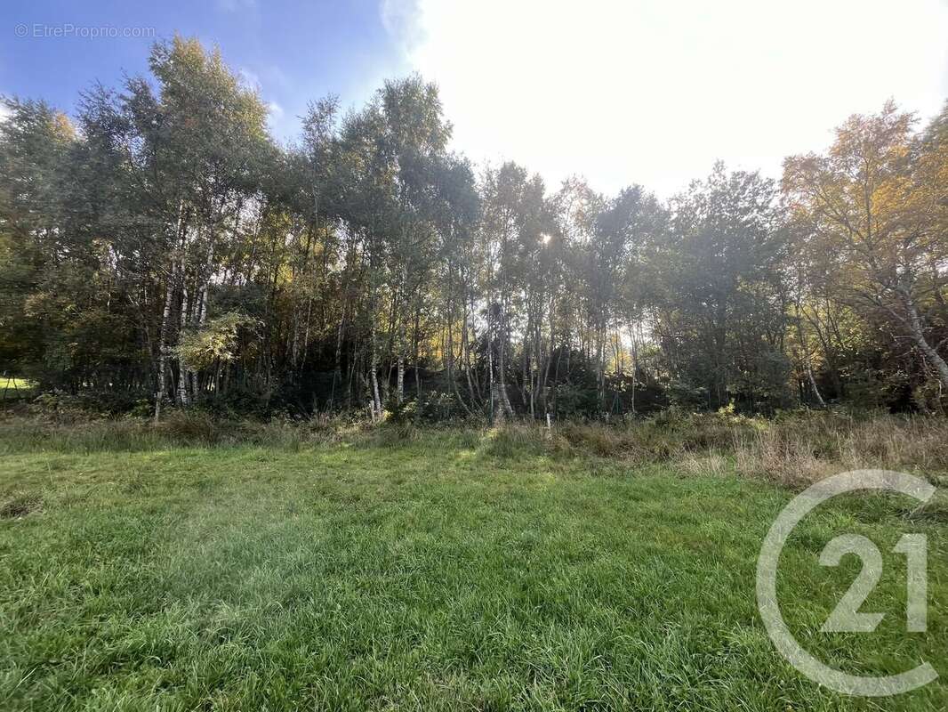 Terrain à BURDIGNES