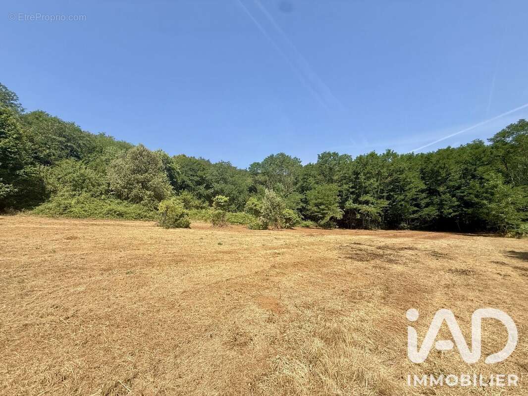 Terrain 13165 m² à Sarlat-La-Caneda  - photo 2