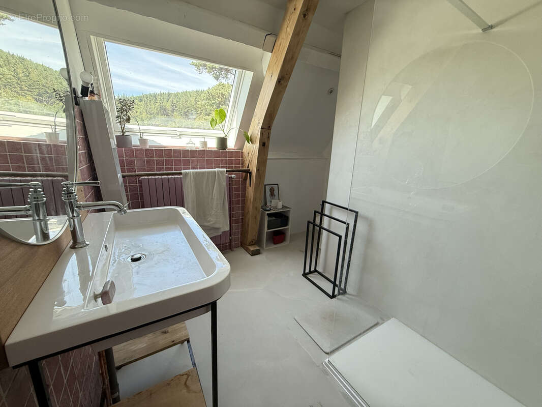 Propriété de caractère avec piscine et grand terrain - Montagne Thiernoise - photo 12