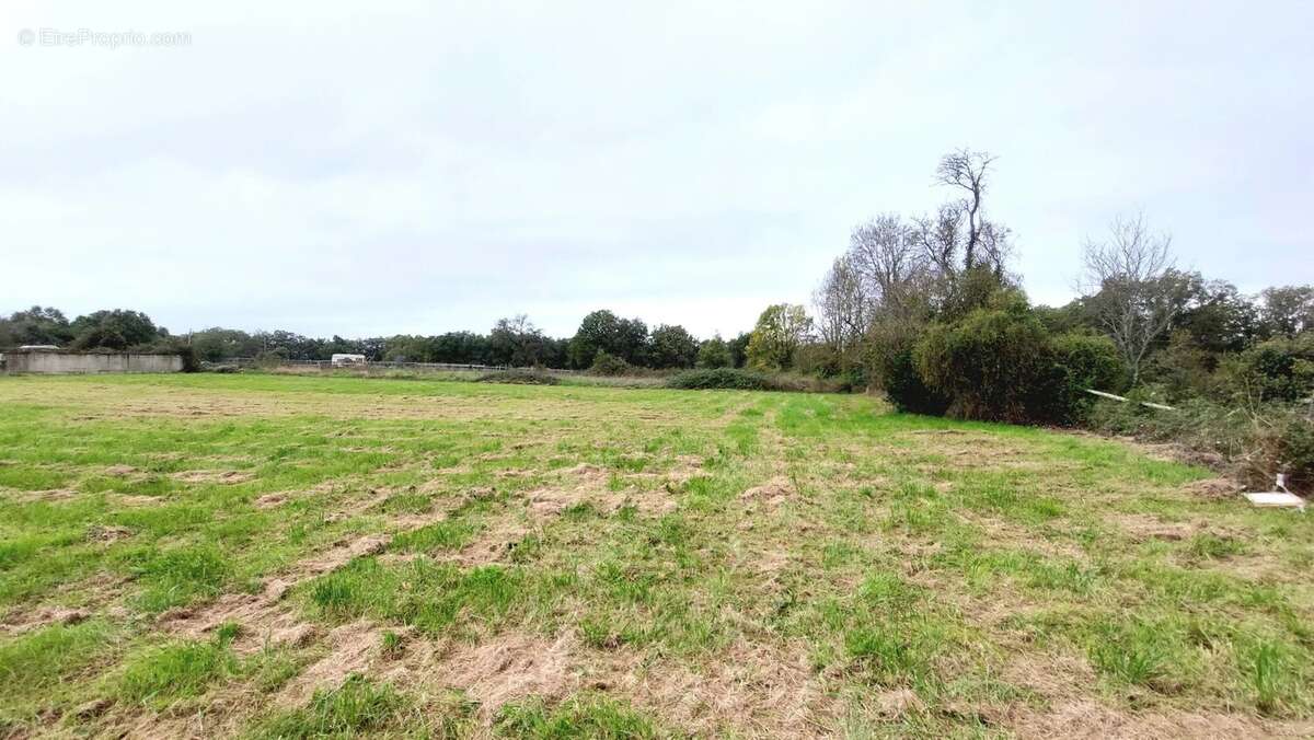 Terrain à ARCHIGNY