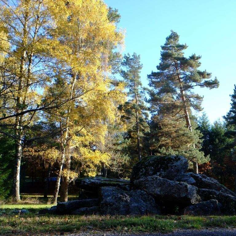 Domaine de 15 hectares au coeur de la nature - photo 16