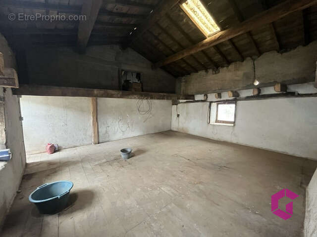 Ferme avec grand potentiel sur plus de 8 ha, possibilité exploitation agricole bio - photo 9