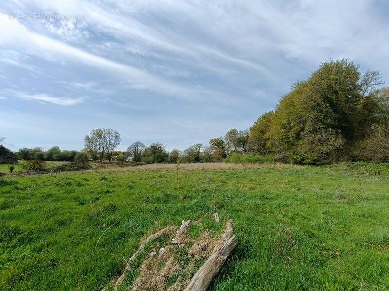  Écolieu en centre bourg - 2,4 ha - Scaër - photo 16