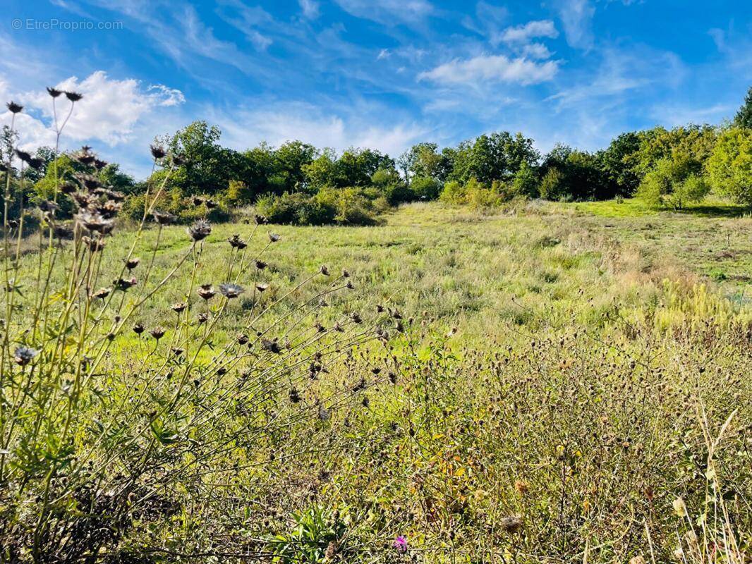 Terrain à NOGENT-LE-ROI