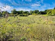 Terrain à NOGENT-LE-ROI