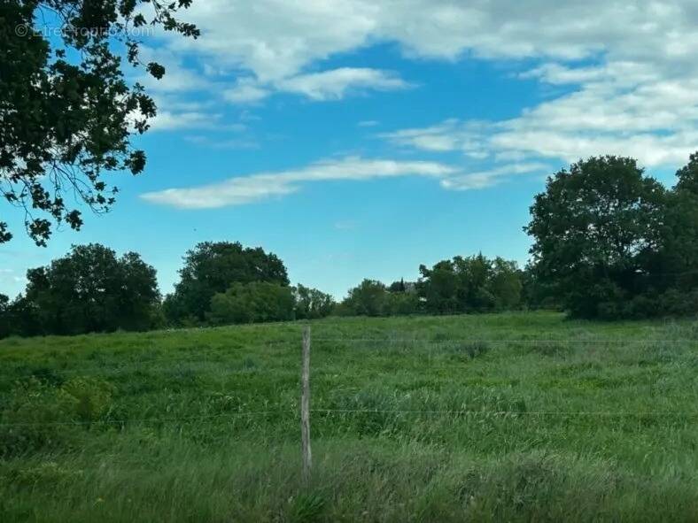 Terrain à BLAUZAC