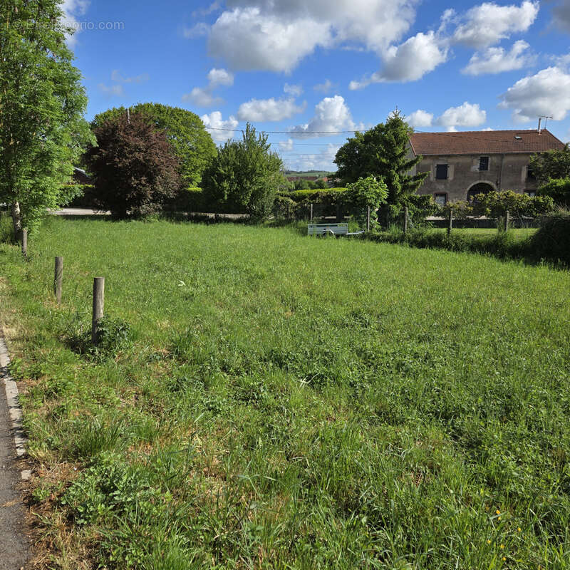 Terrain à TANTONVILLE