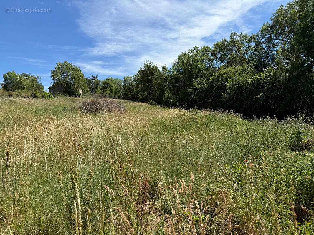 Terrain à MONTGIVRAY
