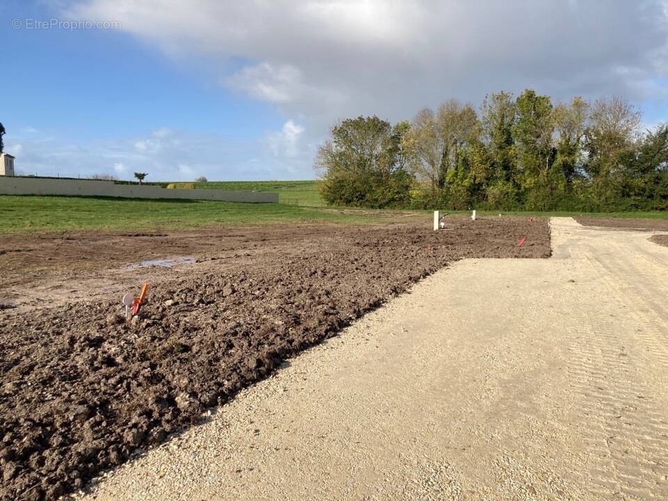 Terrain à COLOMBIERS