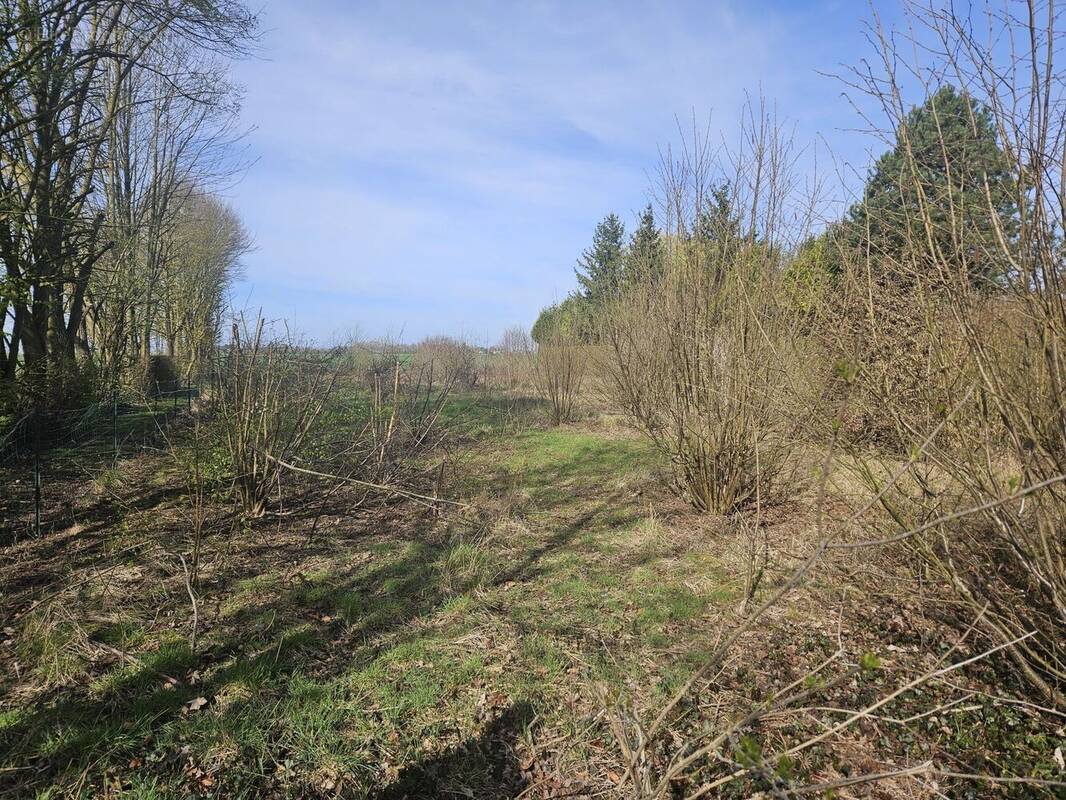 Terrain à REVELLES