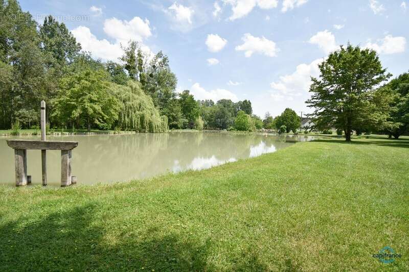 Maison à SELLES-SUR-CHER