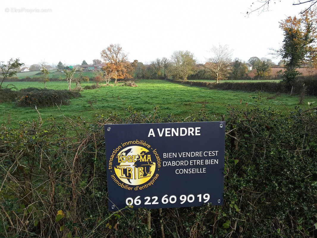 Terrain à CHAMPLECY