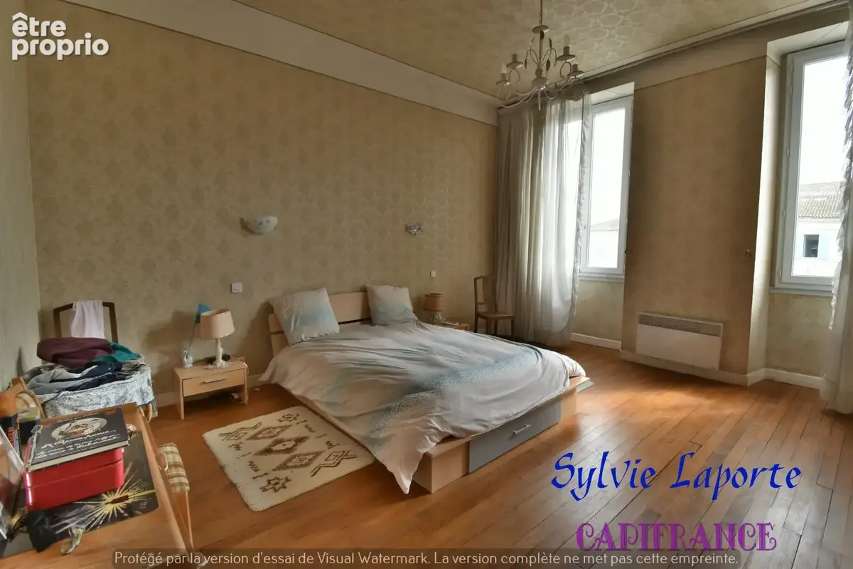 Dpt Lot et Garonne (47), à vendre VILLENEUVE SUR LOT appartement T11, avec local commercial et rapport locatif, idéal investisse - photo 6