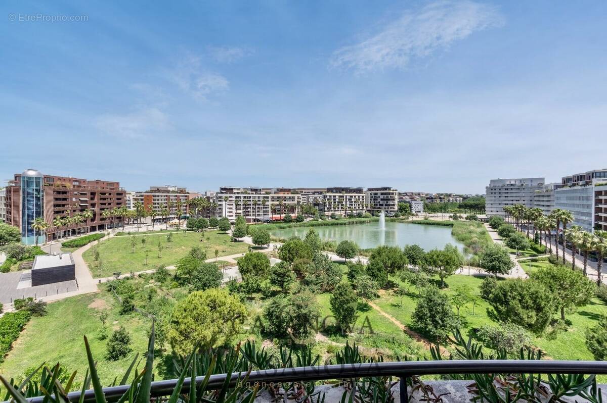 Commerce à MONTPELLIER