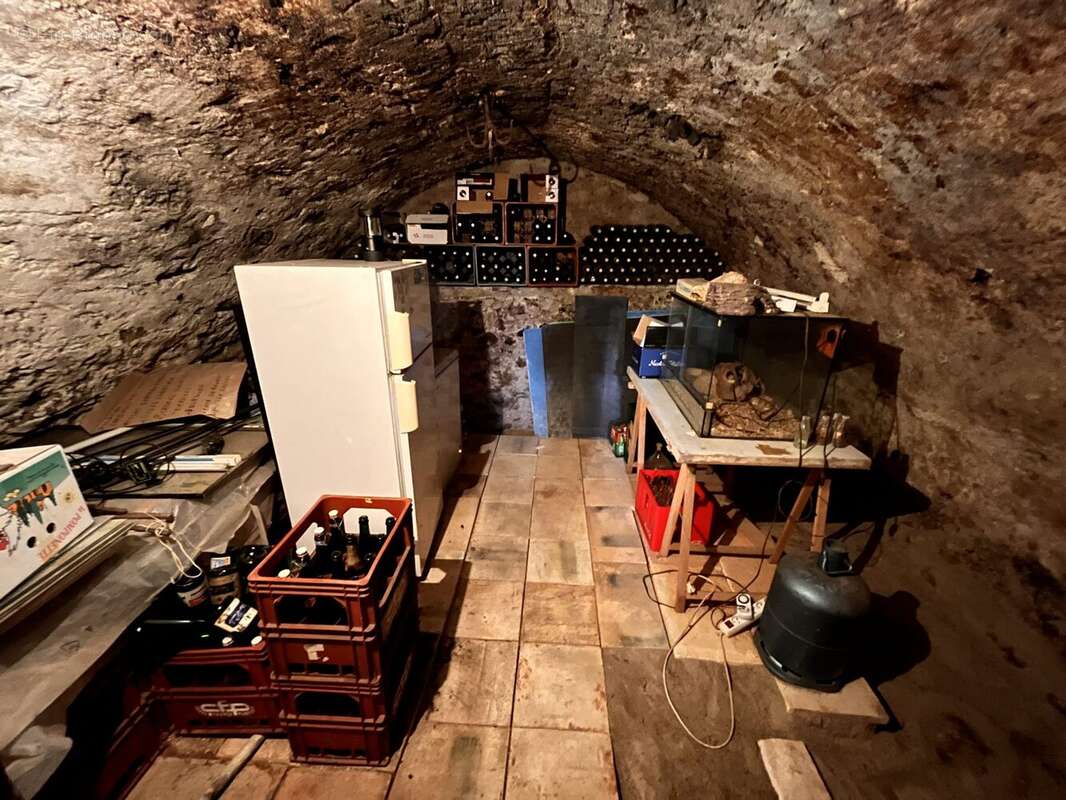 Cave - Maison à BORT-LES-ORGUES
