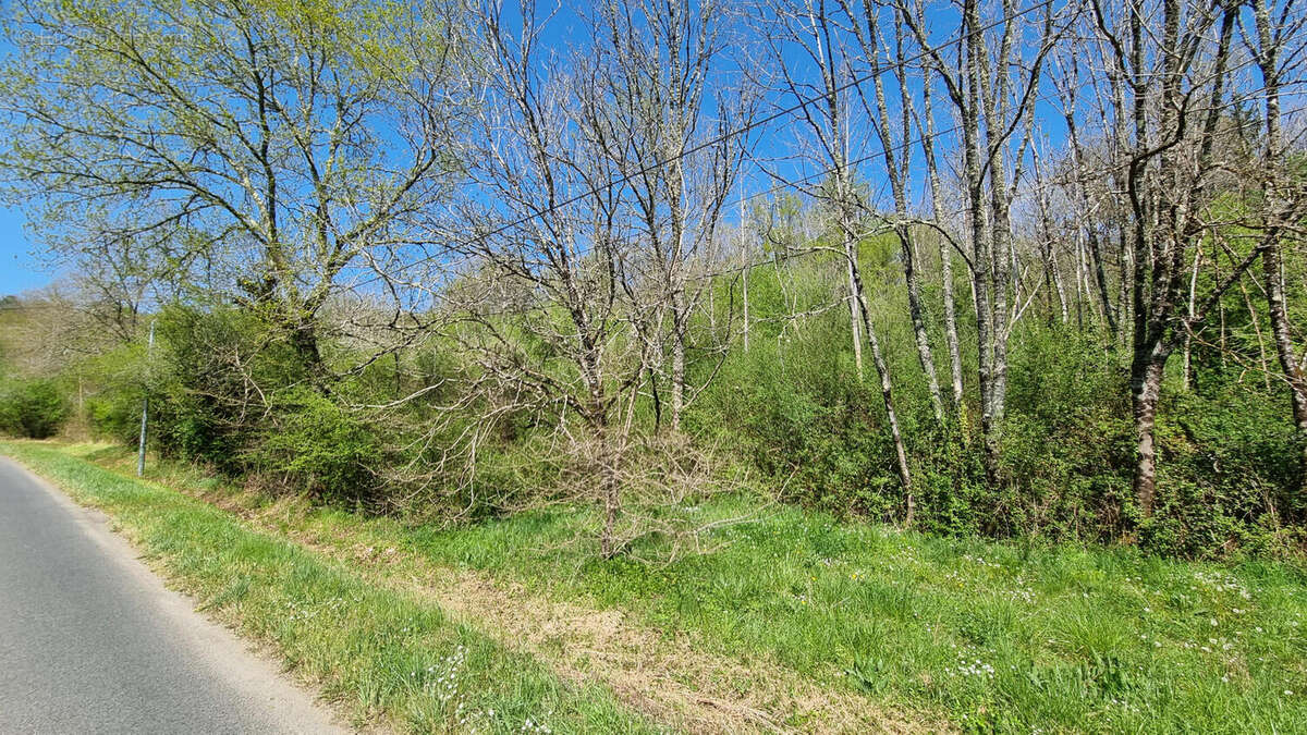 20250411_140821 - Terrain à SAINT-MARTIAL-DE-VALETTE