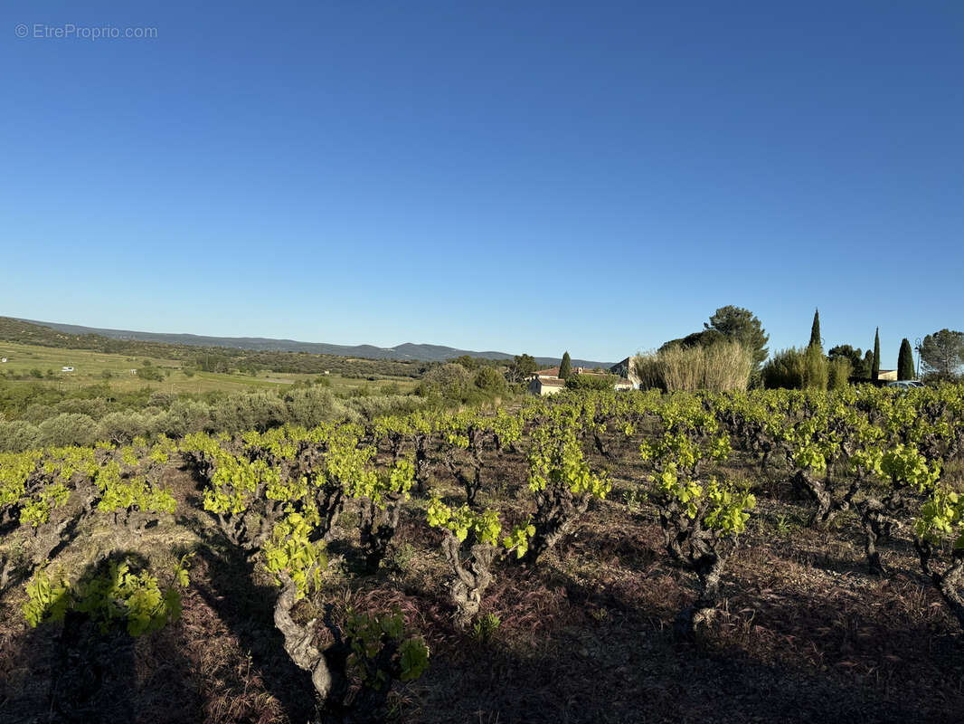 Terrain à MONTPEYROUX