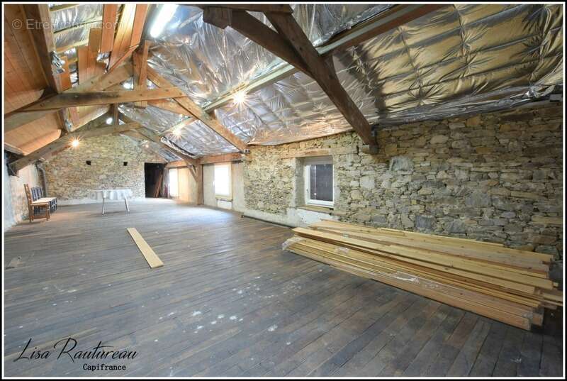 Maison à VIEILLEVIGNE