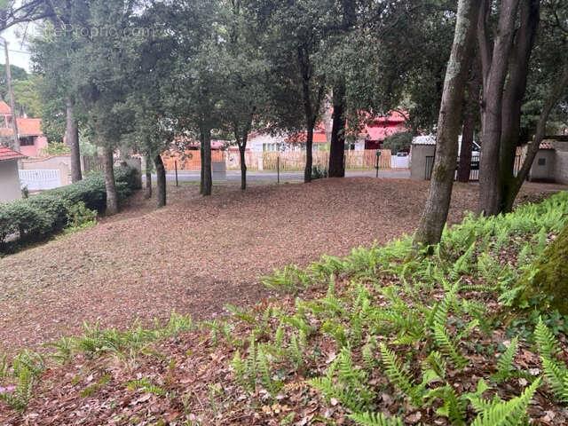 Terrain à SAINT-BREVIN-LES-PINS