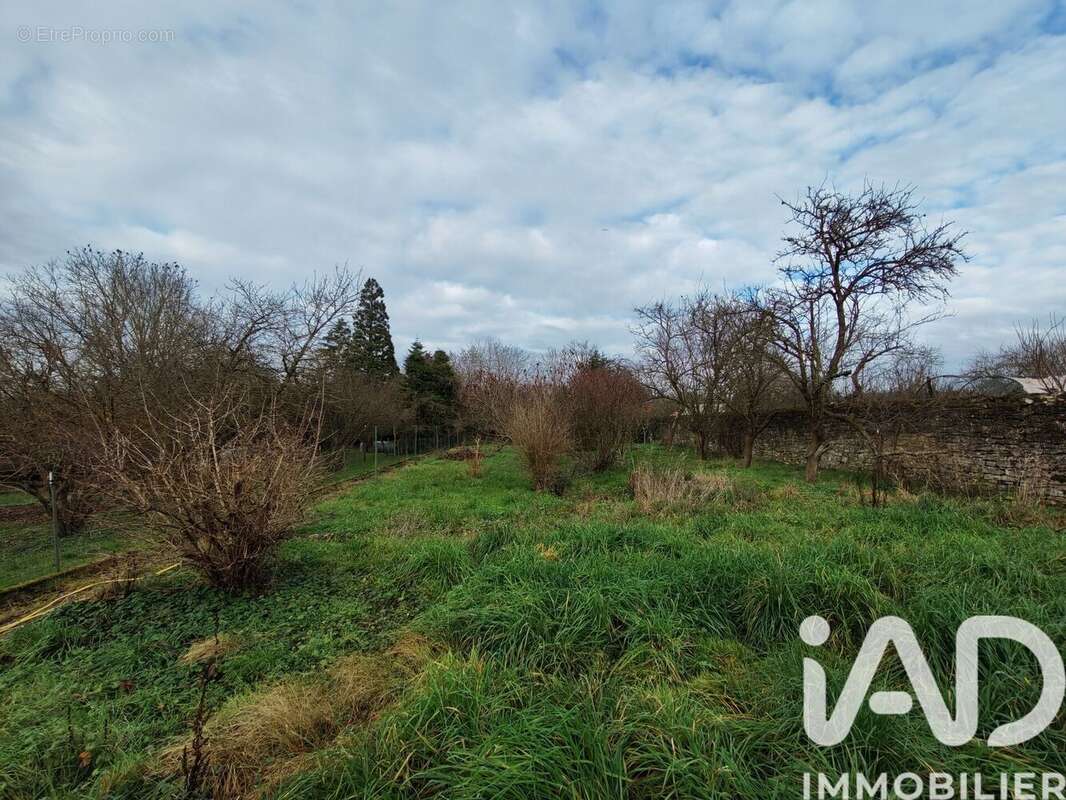 Photo 8 - Maison à METZERVISSE