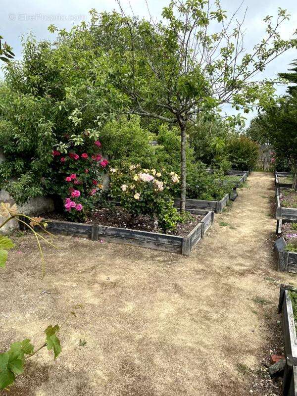 Maison à NOIRMOUTIER-EN-L&#039;ILE