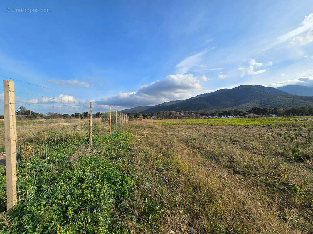 Terrain Argeles Sur Mer 44784 m2 - photo 6
