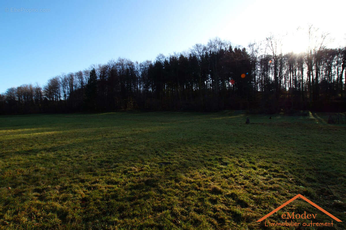 Terrain à LE VAL-D'AJOL