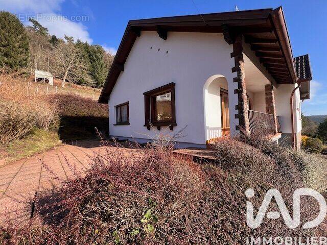 Photo 1 - Maison à WANGENBOURG-ENGENTHAL