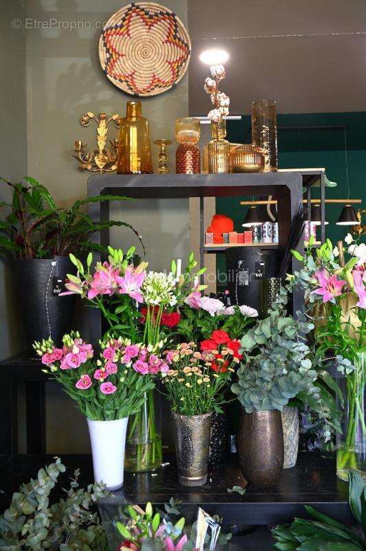 Commerce à SAINT-LAURENT-DES-ARBRES