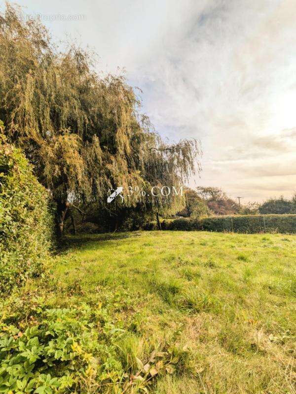 Maison à AMBLETEUSE