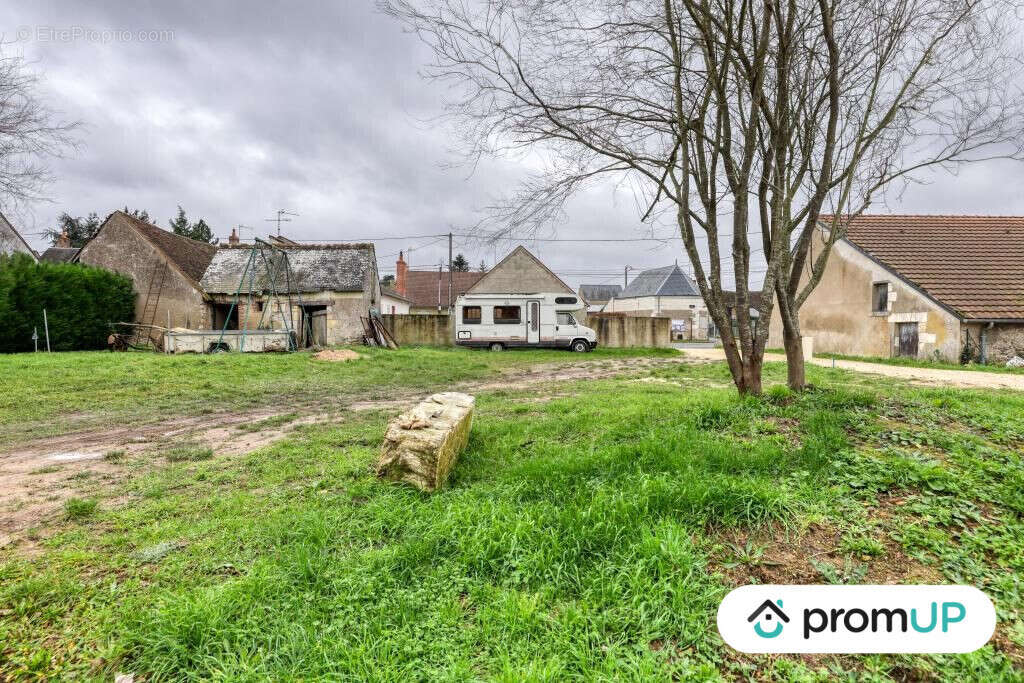 Terrain à LES MONTILS