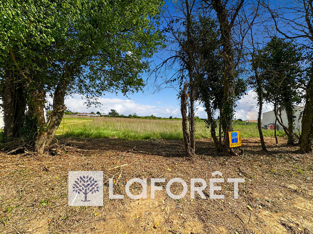 Terrain à SAINT-QUANTIN-DE-RANCANNE