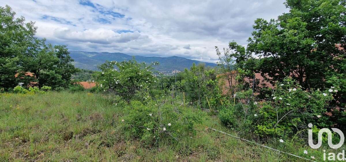 Photo 9 - Terrain à LOS MASOS