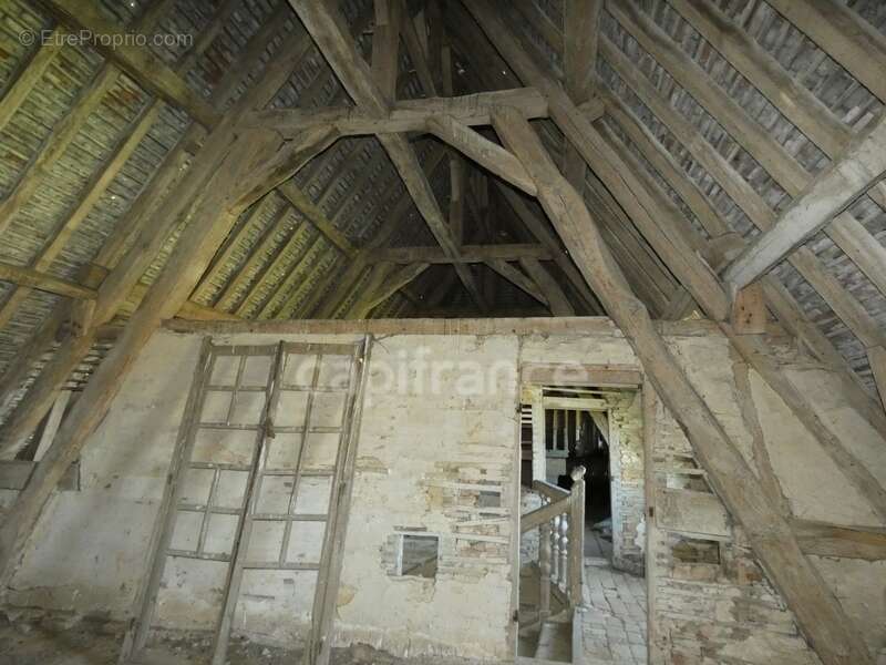 Château du XVIe Siècle au coeur de la Bourgogne à Restaurer - Idéal pour Investisseurs - photo 4