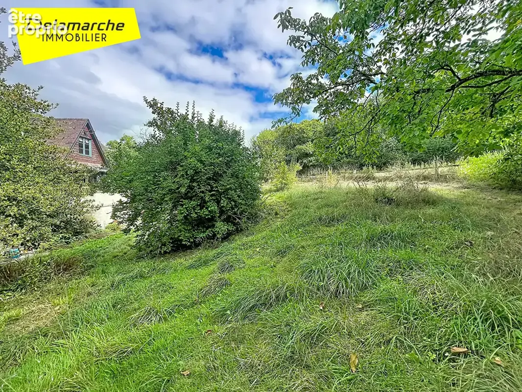 A VENDRE PROCHE BRECEY Maison de campagne atypique de 5 pièces 4257 m² de terrain dans un cadre plein de charme - photo 3