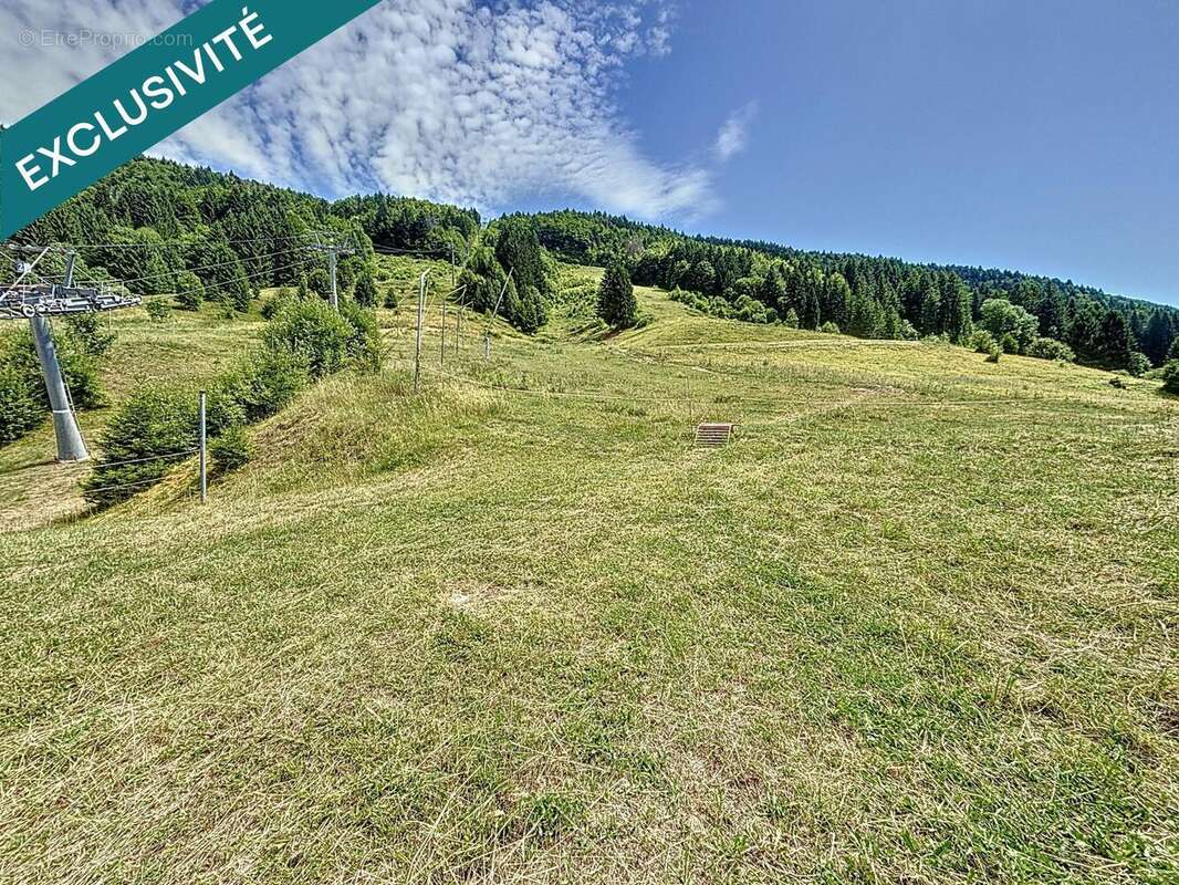 Photo 6 - Commerce à LELEX