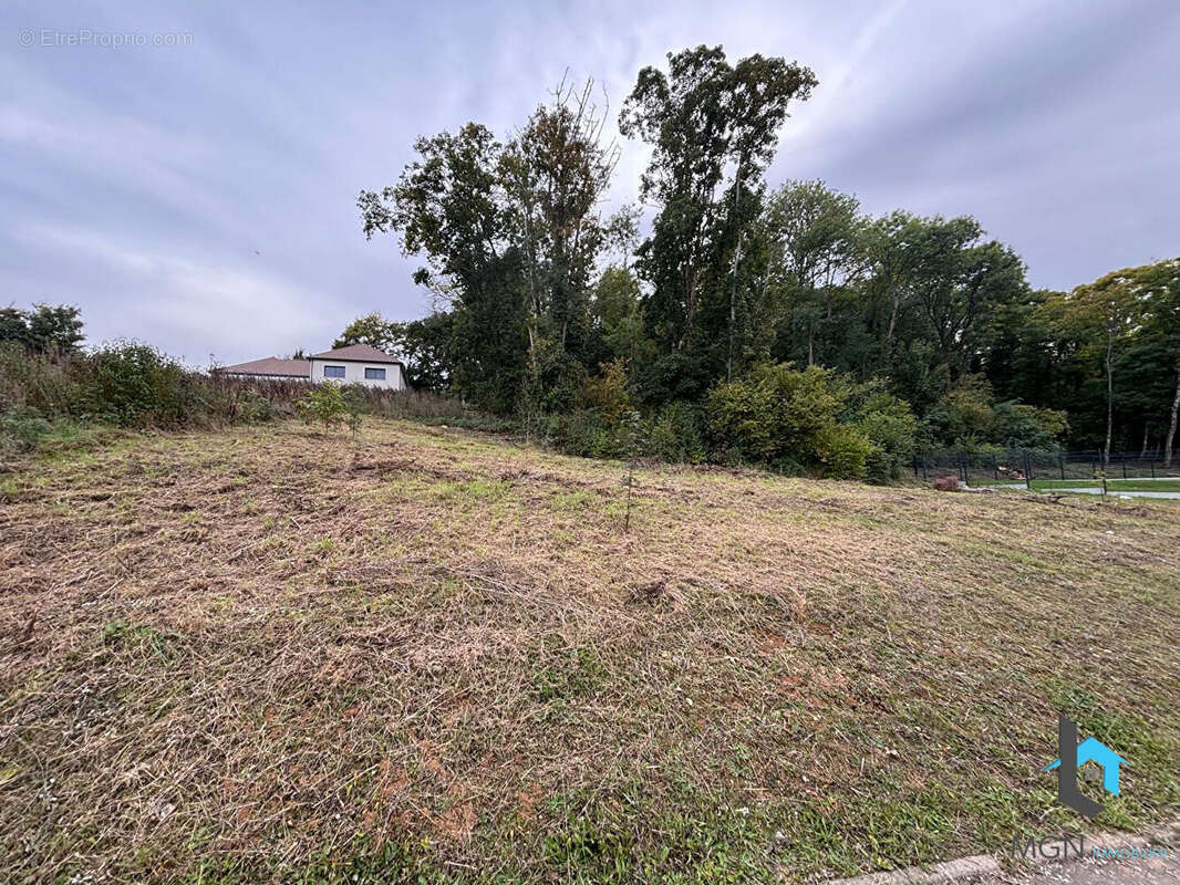 Terrain à NOGENT-LE-ROI