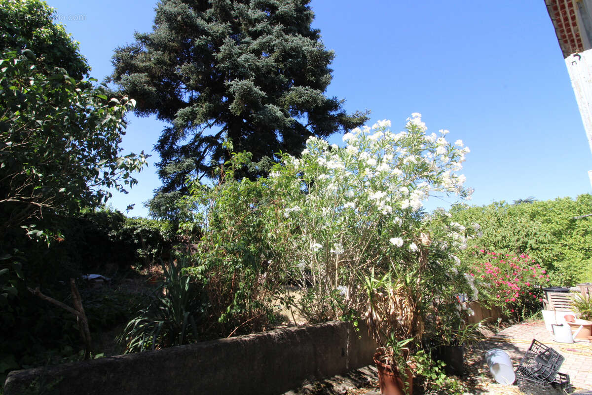 Appartement à SAINT-PAUL-LE-JEUNE