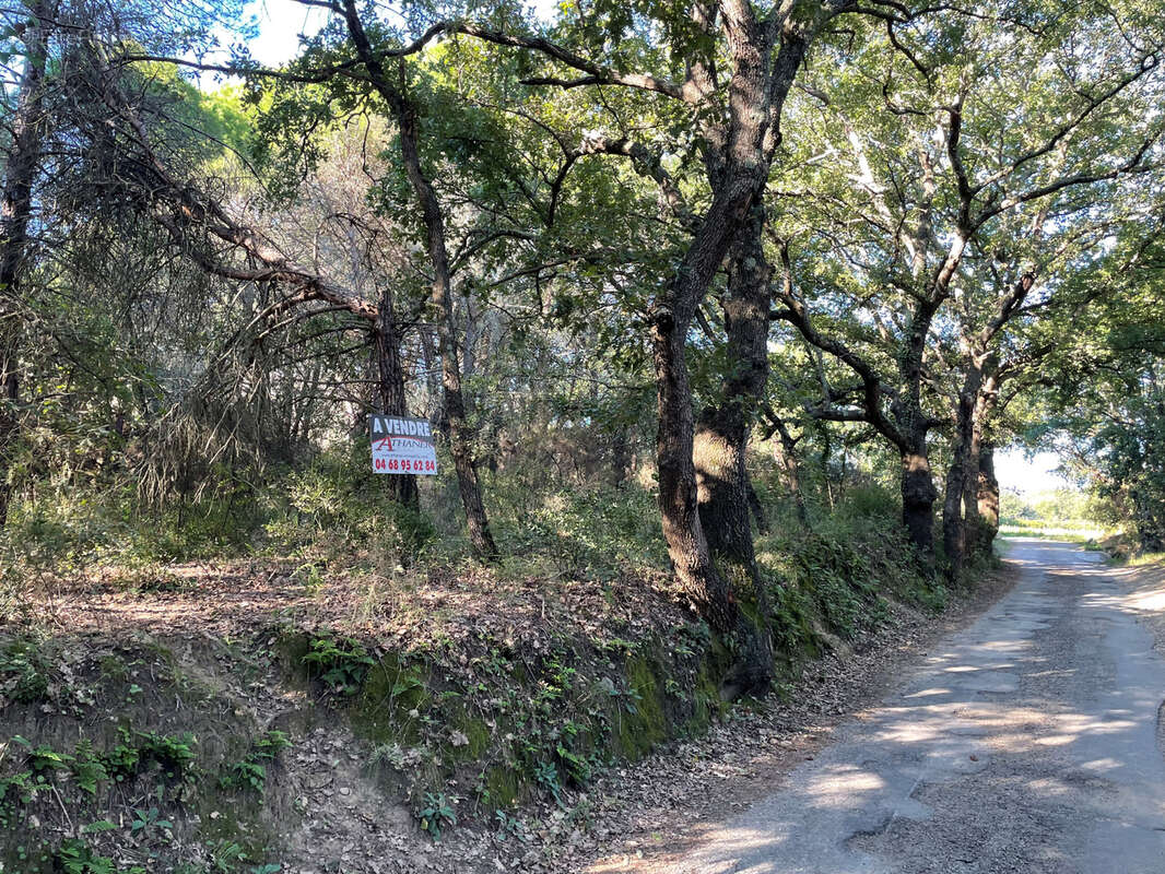 Terrain à ARGELES-SUR-MER