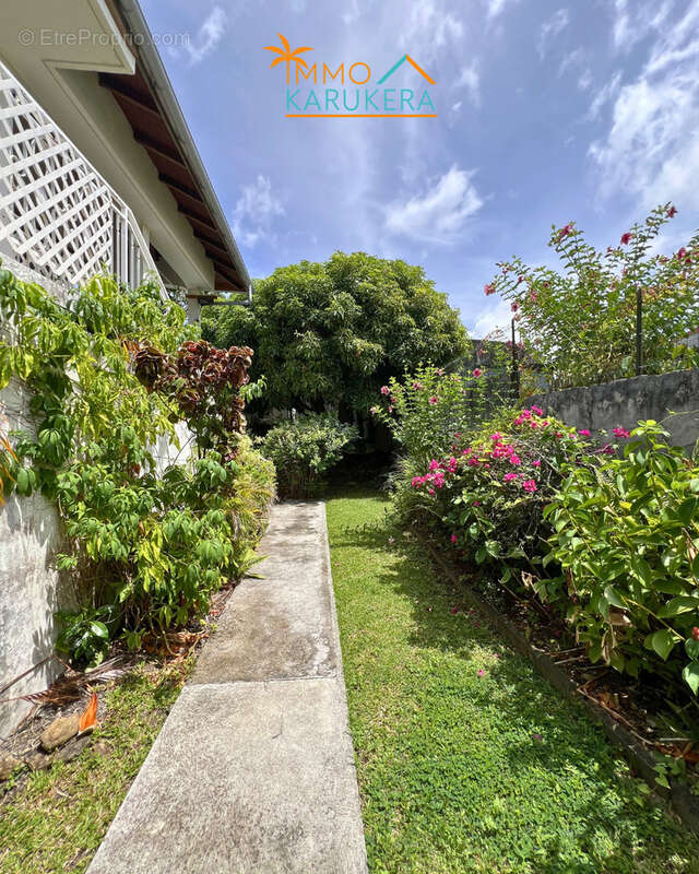 Immeuble à Basse-Terre (Investissement/ Résidence principale) - photo 13