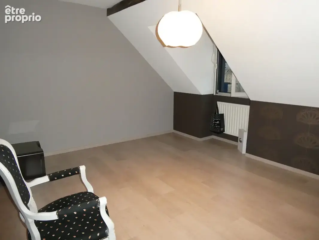 Maison  à la campagne avec double garage et un poulailler de dinde . - photo 7