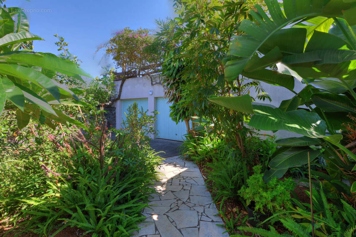 Maison à SAINT-PIERRE