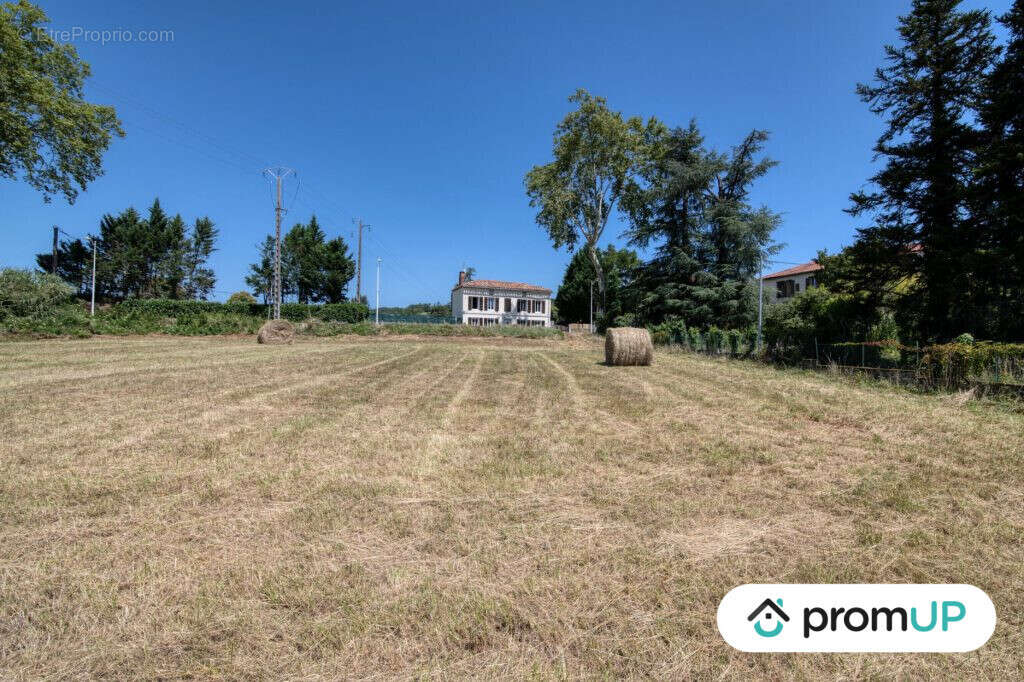 Terrain à MALAUSE