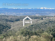 Maison à CARCASSONNE