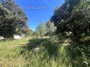 Terrain à CHATEAURENARD