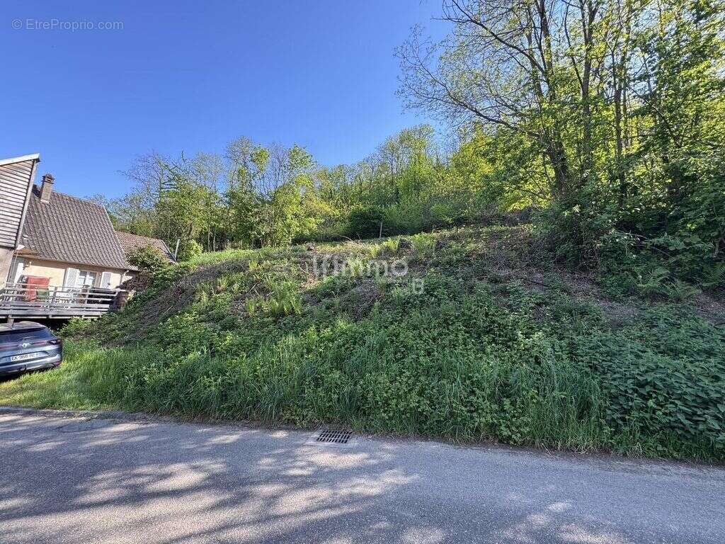 Terrain à ORSCHWILLER