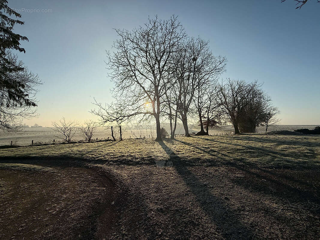 Maison à BILLY-CHEVANNES
