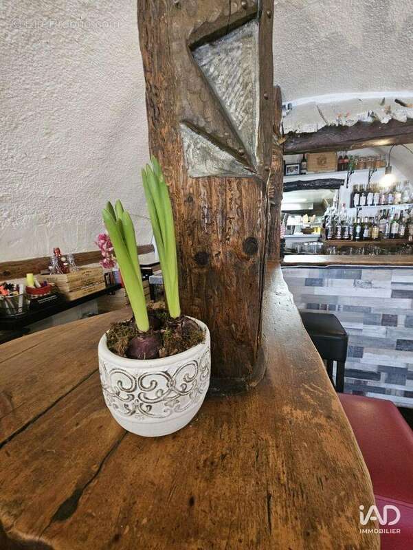 Photo 4 - Commerce à SAINT-CREPIN