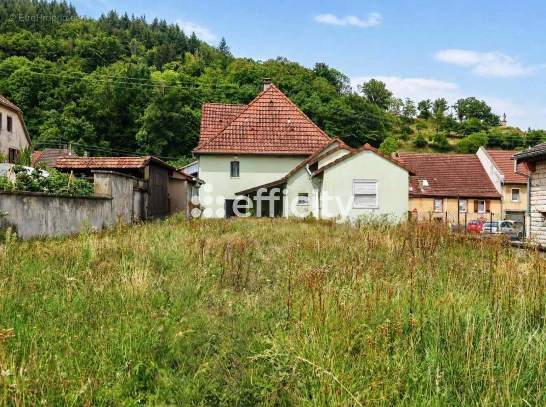 Maison à WILLER-SUR-THUR
