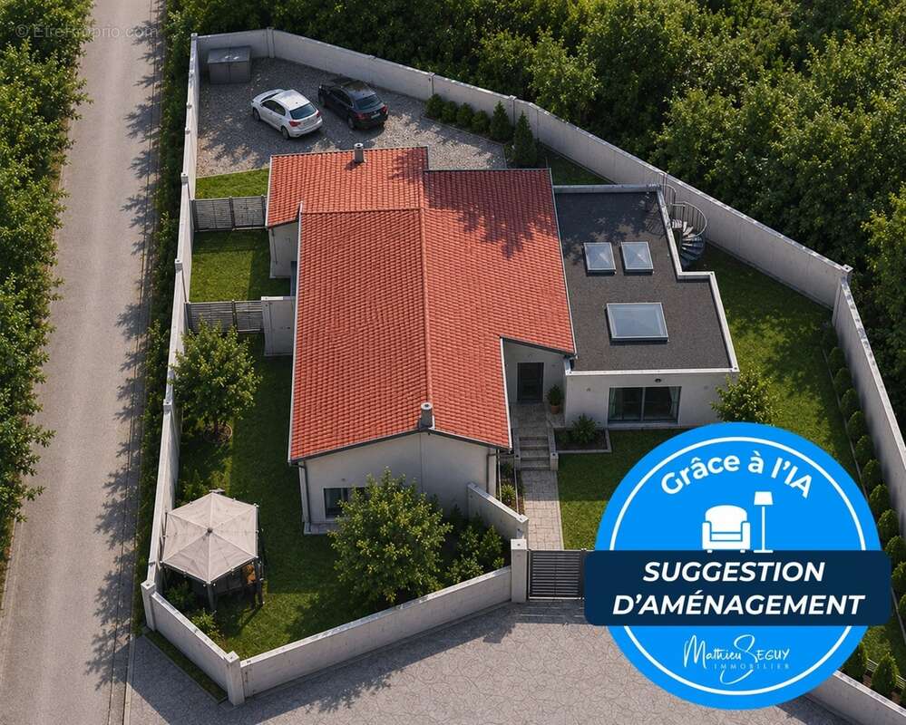 Ensemble immobilier pro/perso à St Genis Laval - photo 2